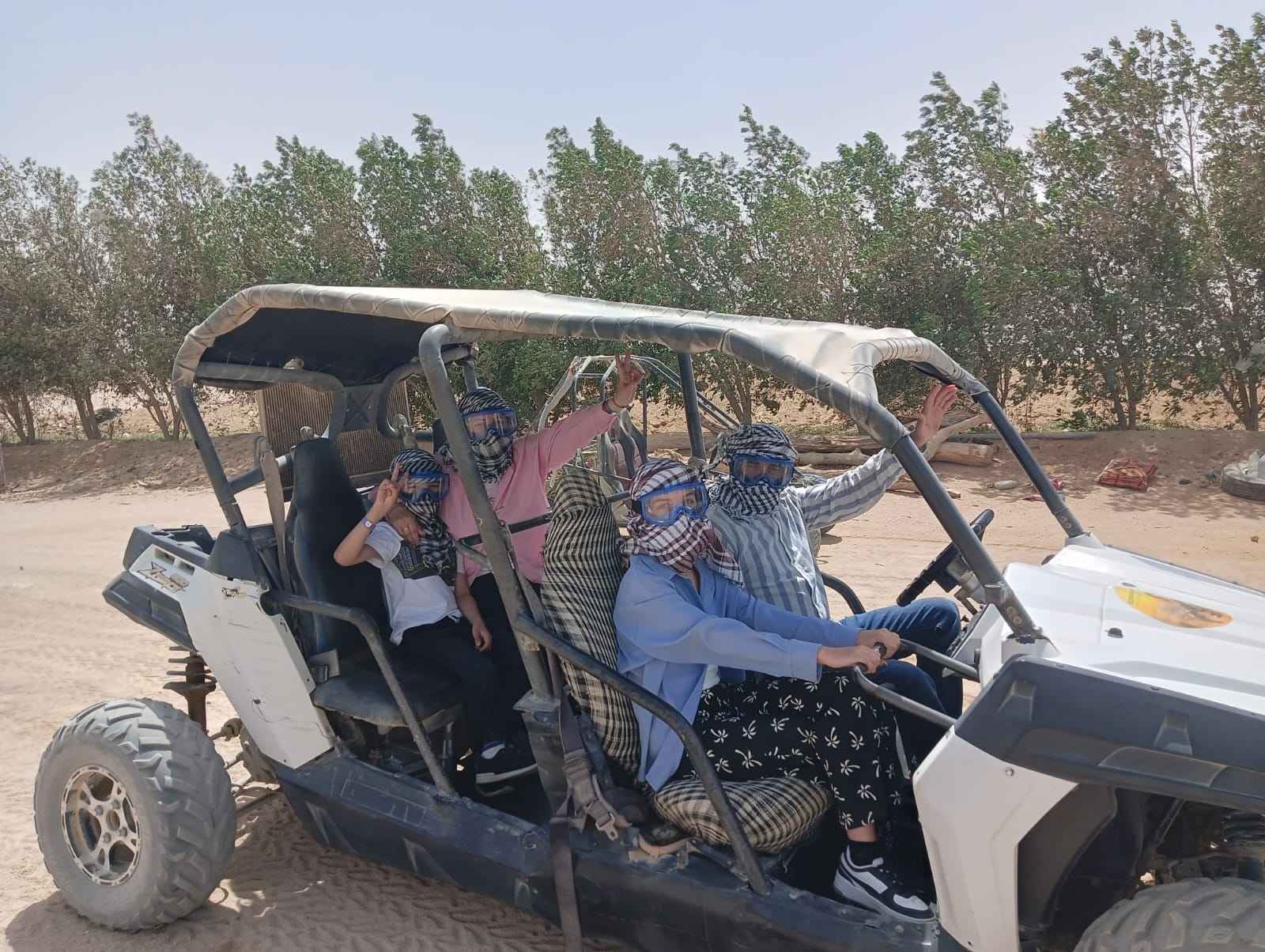 MINI SAFARI