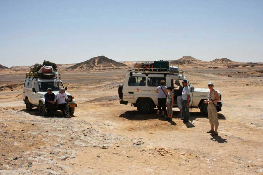 MINI SAFARI