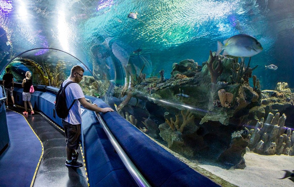 GRAND AQUARIUM