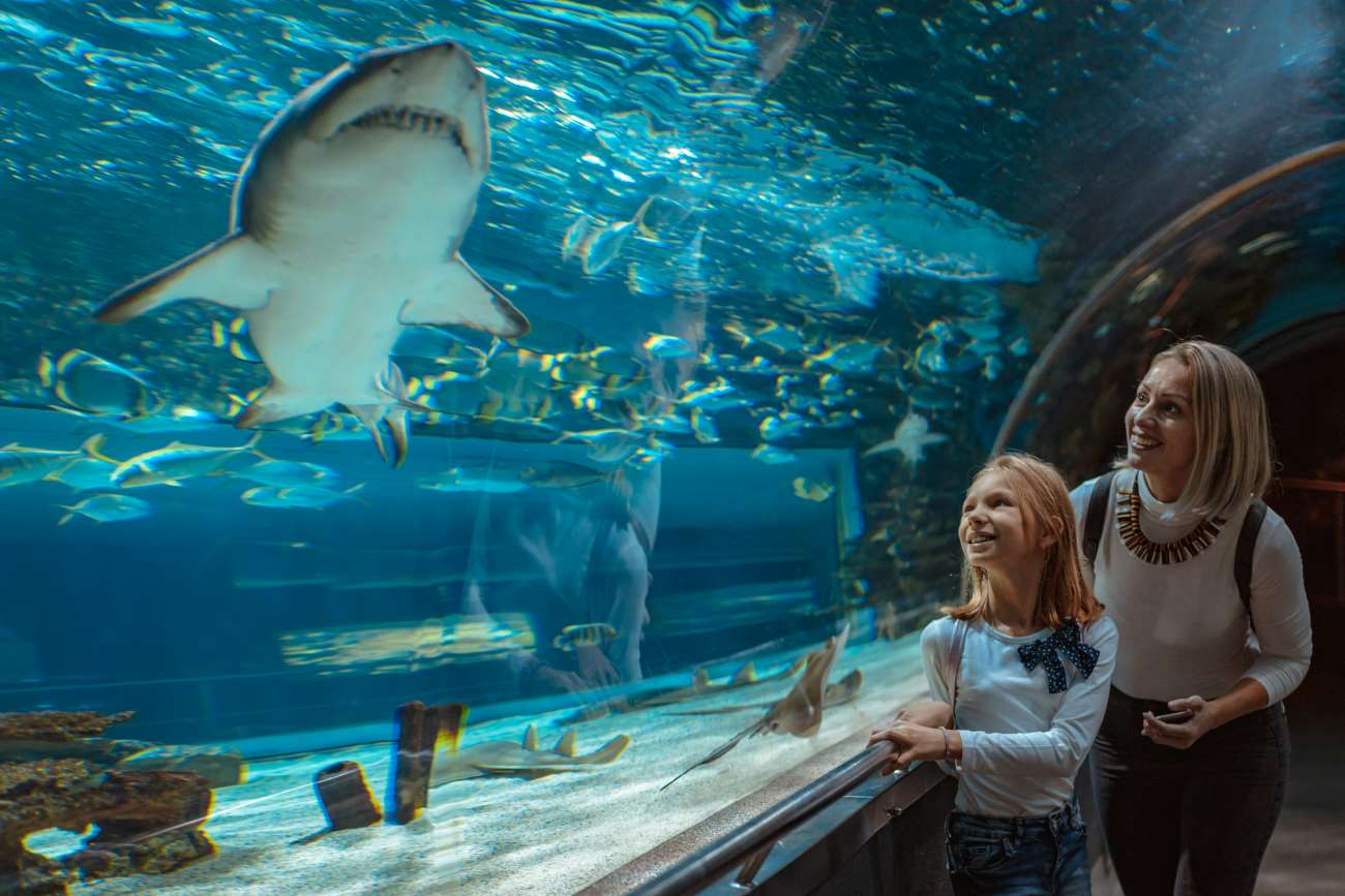 GRAND AQUARIUM