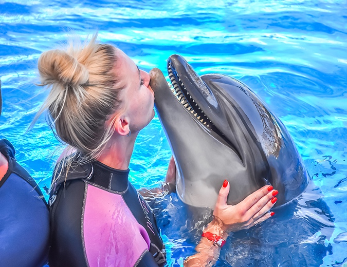 SWIMMING WITH DOLPHIN HURGHADA