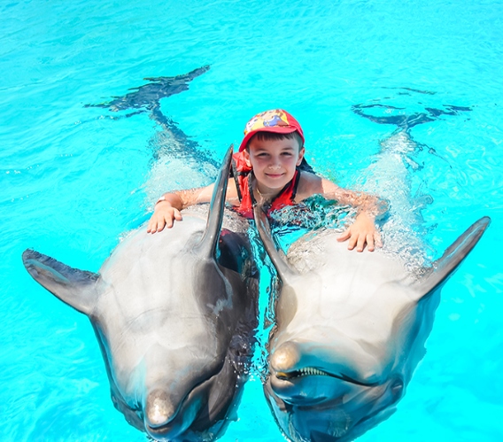SWIMMING WITH DOLPHIN HURGHADA