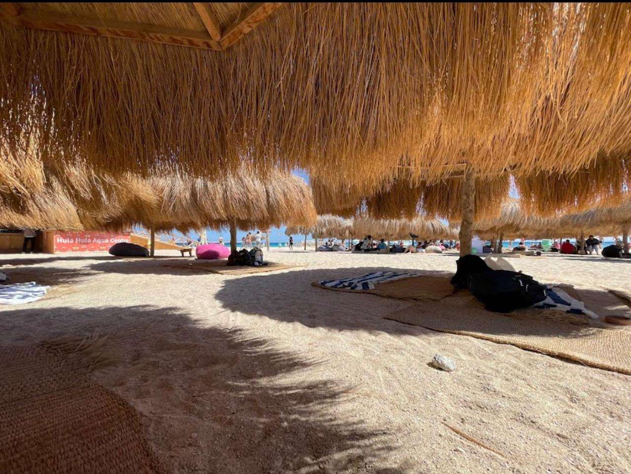 PARADISE ISLAND (HULA HULA)