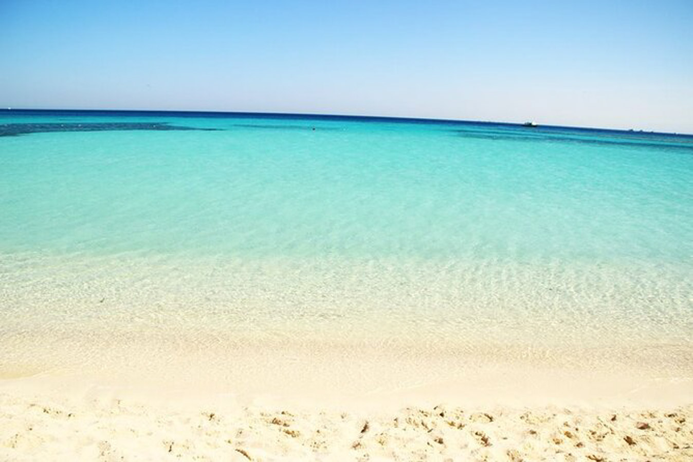 WHITE ISLAND WITHOUT DIVING SSH
