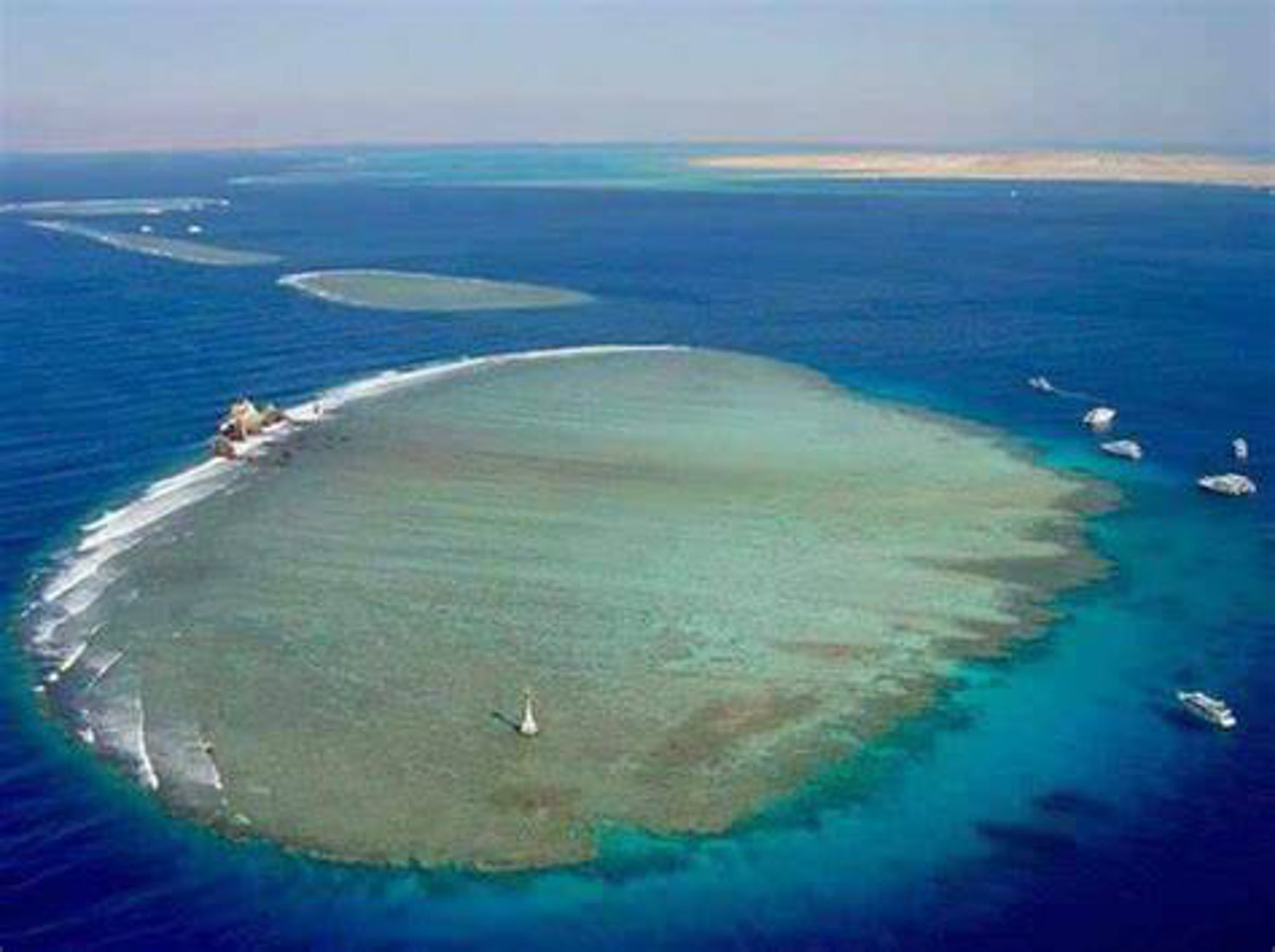 WHITE ISLAND WITH DIVING SSH