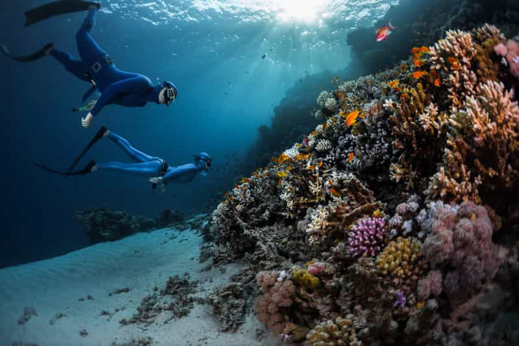WHITE ISLAND WITH DIVING SSH