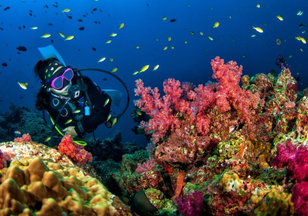 DIVING