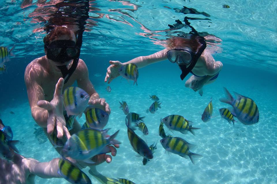 SNORKELING